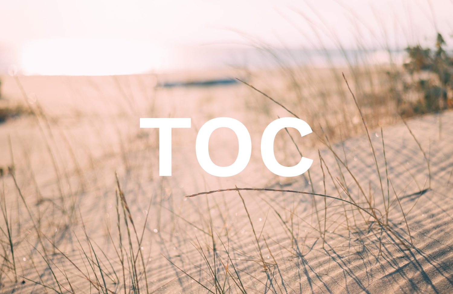 sand dunes as a backdrop to the TOC acronym for Table of Contents