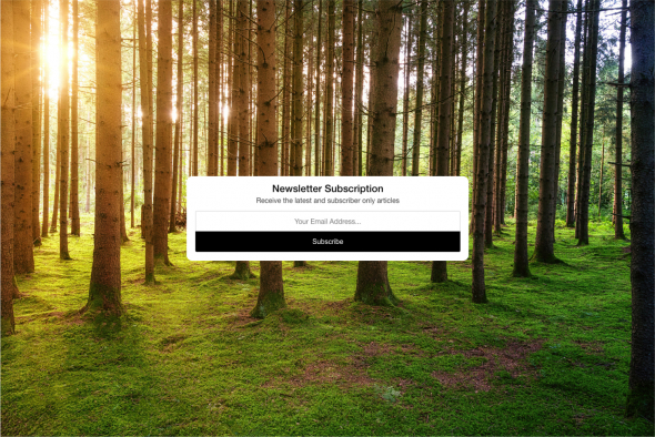 A thick forest full of trees with the sun peeking through the tree trunks. Moss and grass on the ground. A super imposed newsletter signup form on top of the photo.
